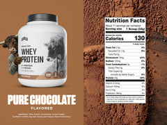 Levels Pure Chocolate whey powder close-up showing natural cacao flavor.
