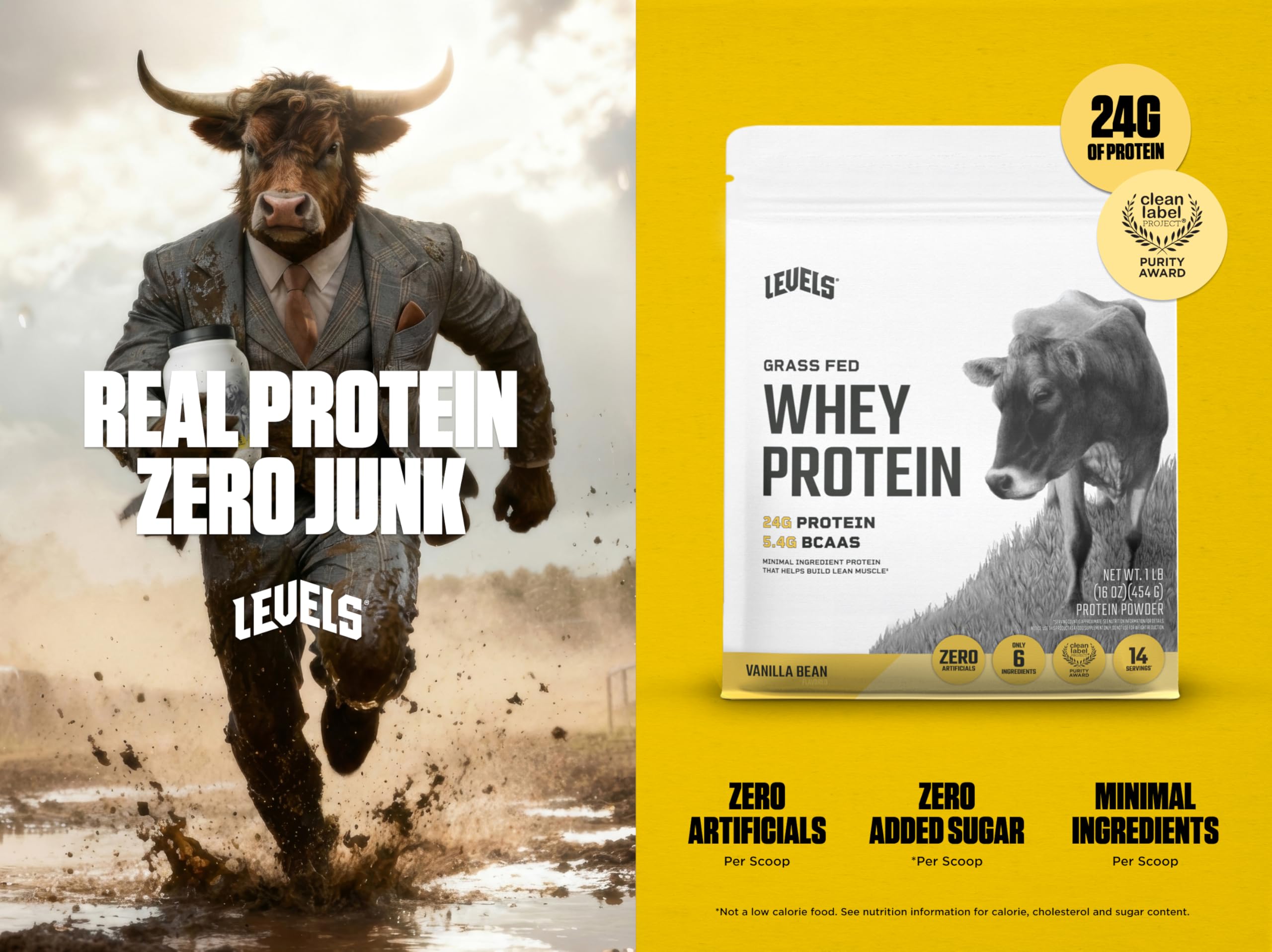 Levels Vanilla Bean Whey Powder Close-Up — authentic vanilla flavor for shakes.