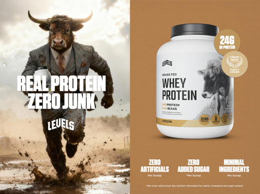Levels Whey Protein 24g per scoop supports daily activity.