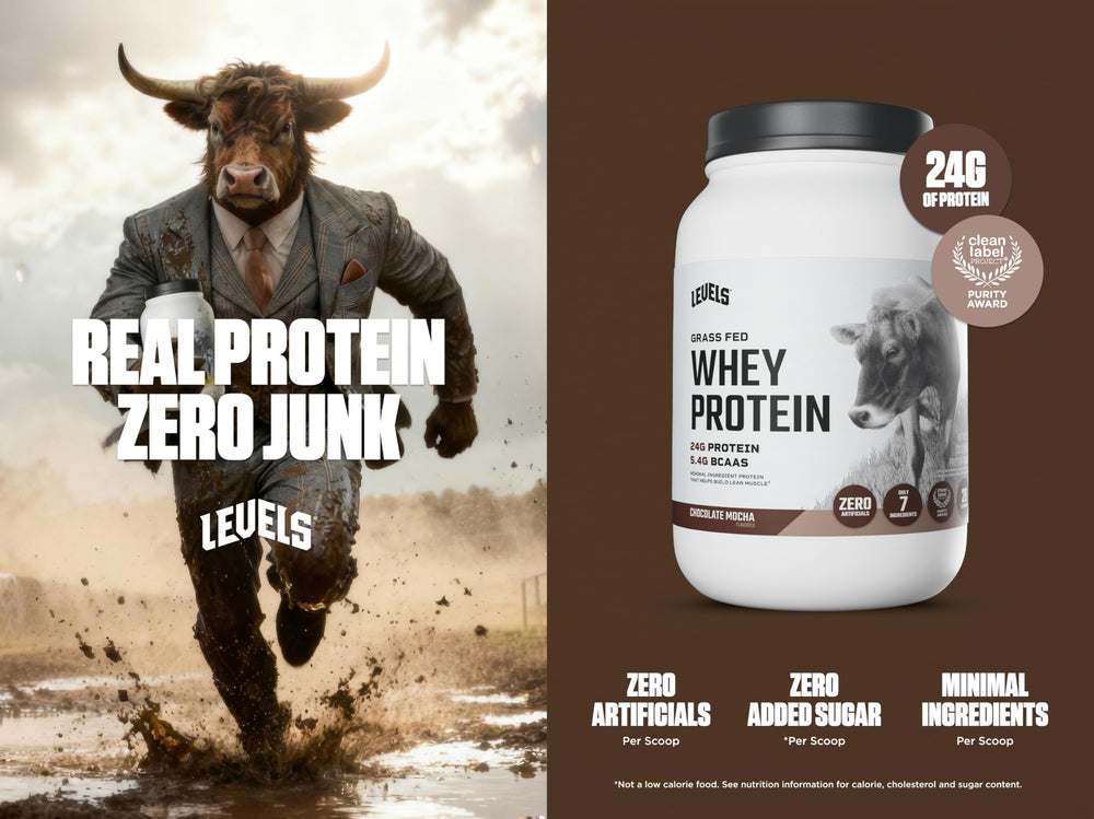 Levels Whey Protein Chocolate Mocha scoop for precise servings