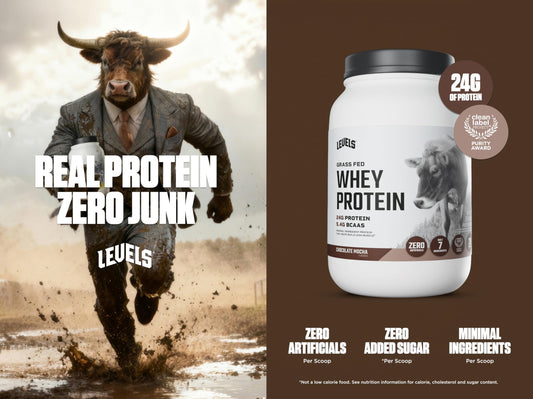 Levels Whey Protein Chocolate Mocha scoop for precise servings