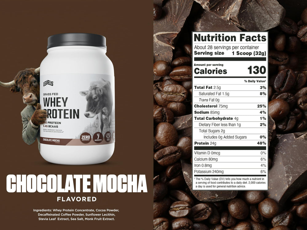 Levels Whey Protein Chocolate Mocha shaker blends smooth shakes