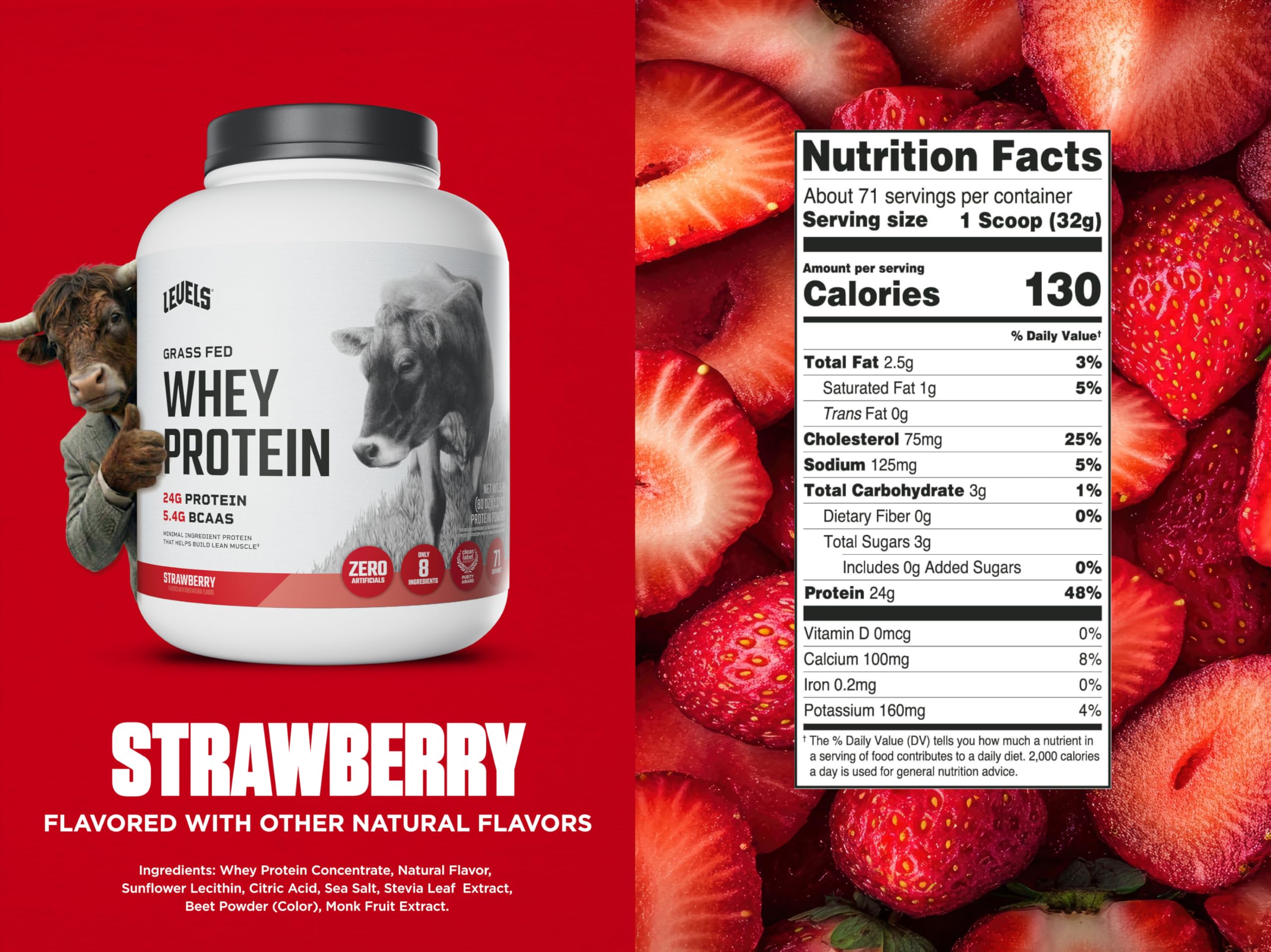Levels Whey protein powder scoop pouring for quick shakes.