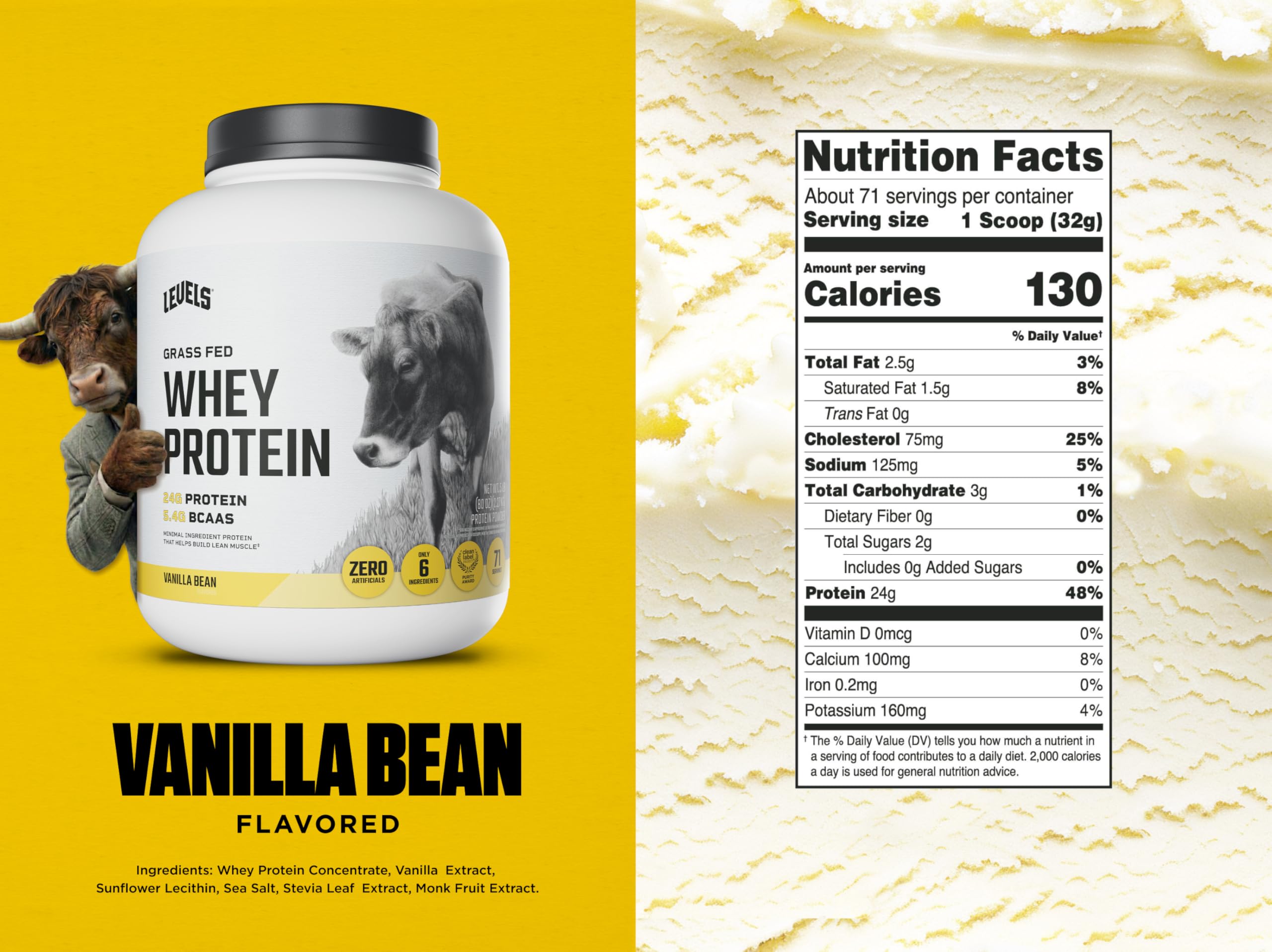 Levels Whey Protein shake in vanilla flavor blending smoothly