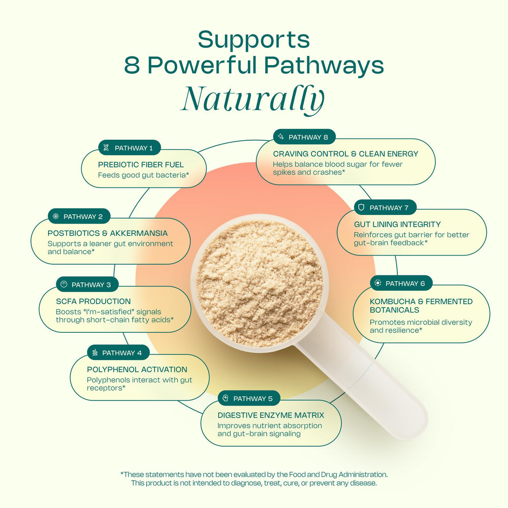 LevelUp GLP Superfood prebiotic fiber scoop supports steady digestion.