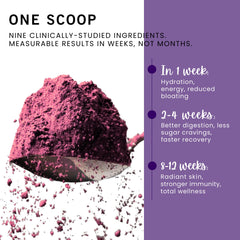 Leverage Mixed Berries powder dissolving smoothly in a smoothie.