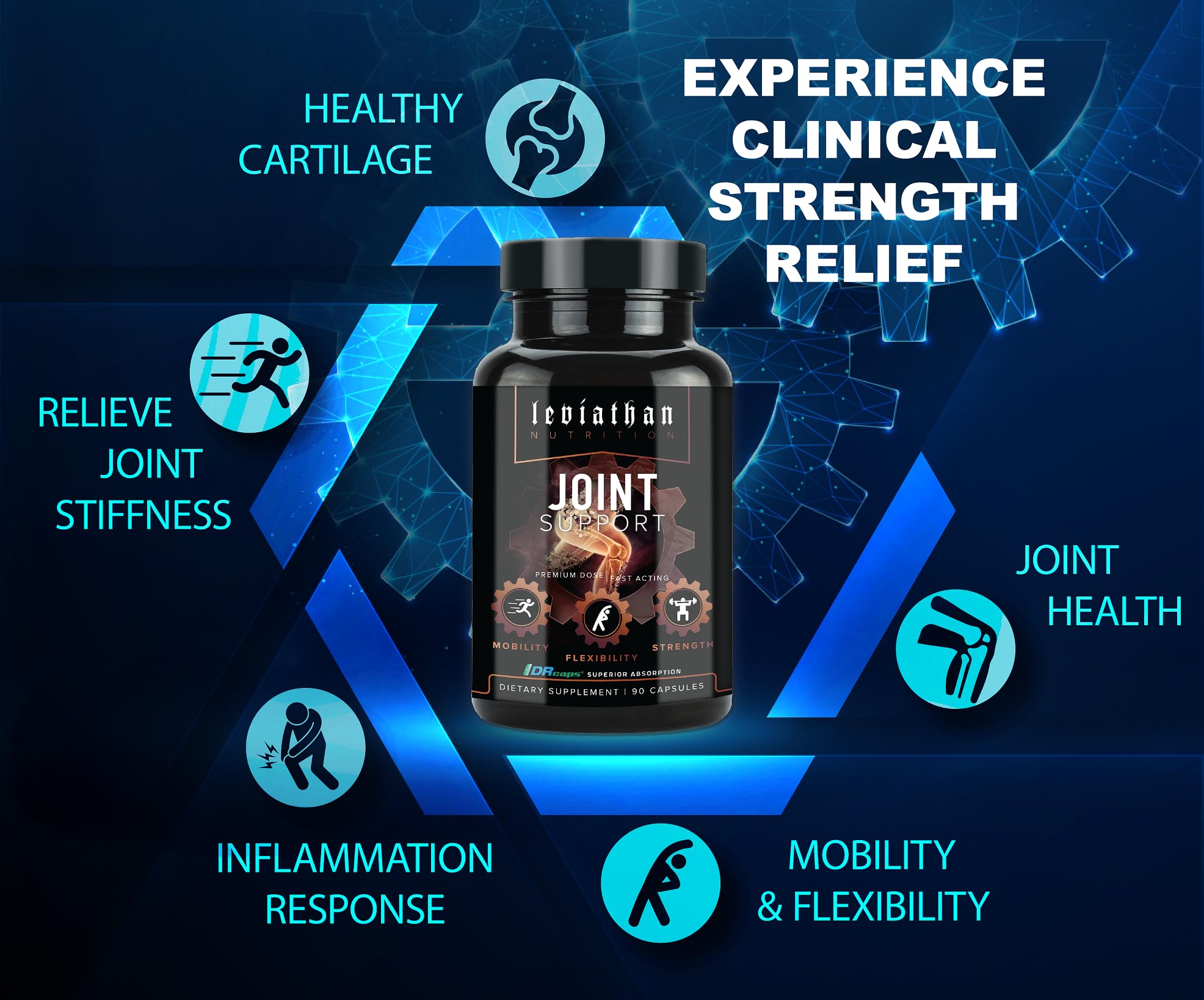 Leviathan Nutrition Joint Support label features boswellia and collagen for joint health support
