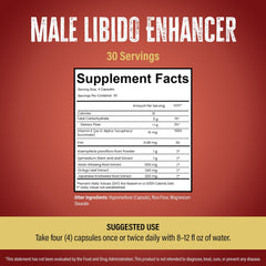 Leviathan Wellness Fortitude ginkgo biloba leaf closeup for cognitive and circulatory support