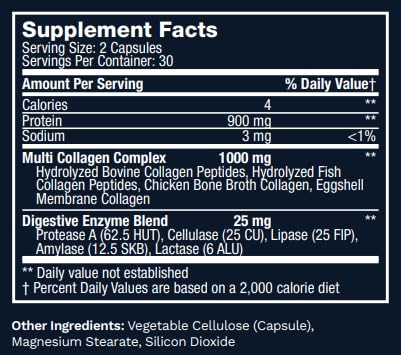 Lewis Labs Multi Collagen Powder dissolving in liquid for smooth texture