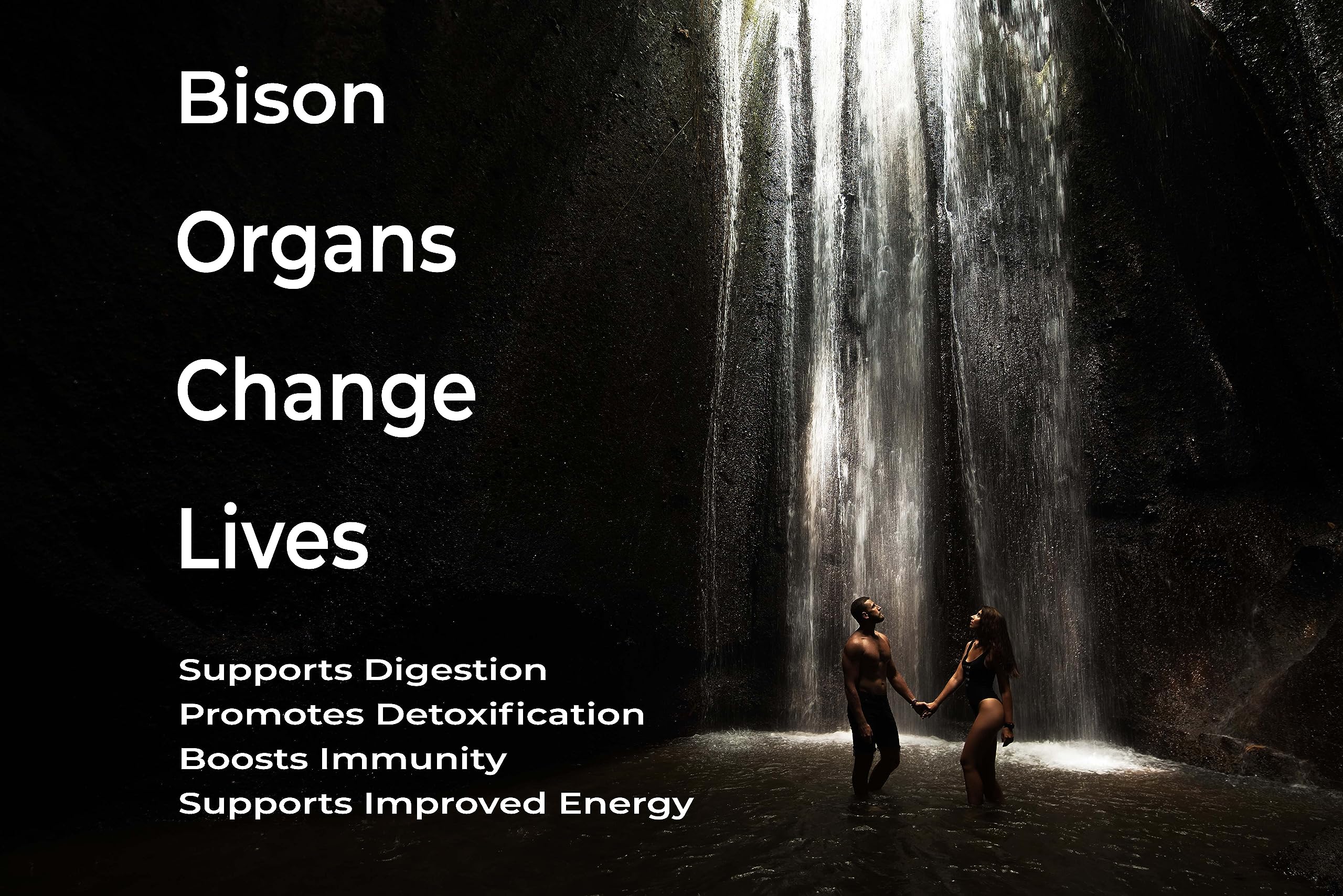 LGS Supplements liver-heart-kidney blend highlights total organ-based nourishment.