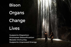 LGS Supplements liver-heart-kidney blend highlights total organ-based nourishment.