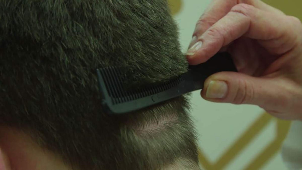 Lice Sisters nit-comb-pairing shown with fine-toothed comb
