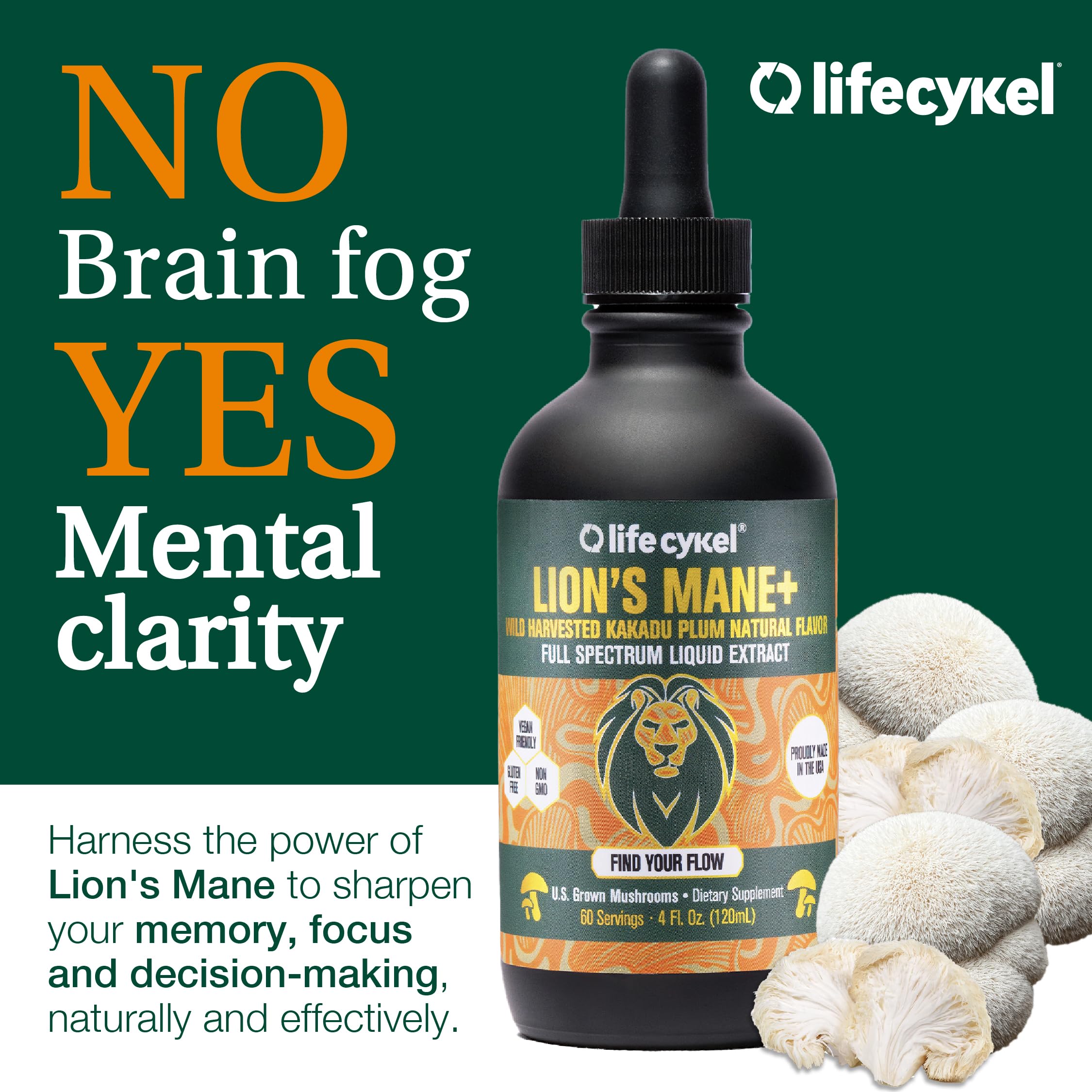 Life Cykel Chaga mushroom closeup reveals earthy tones and tincture depth.