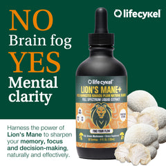Life Cykel Chaga mushroom closeup reveals earthy tones and tincture depth.
