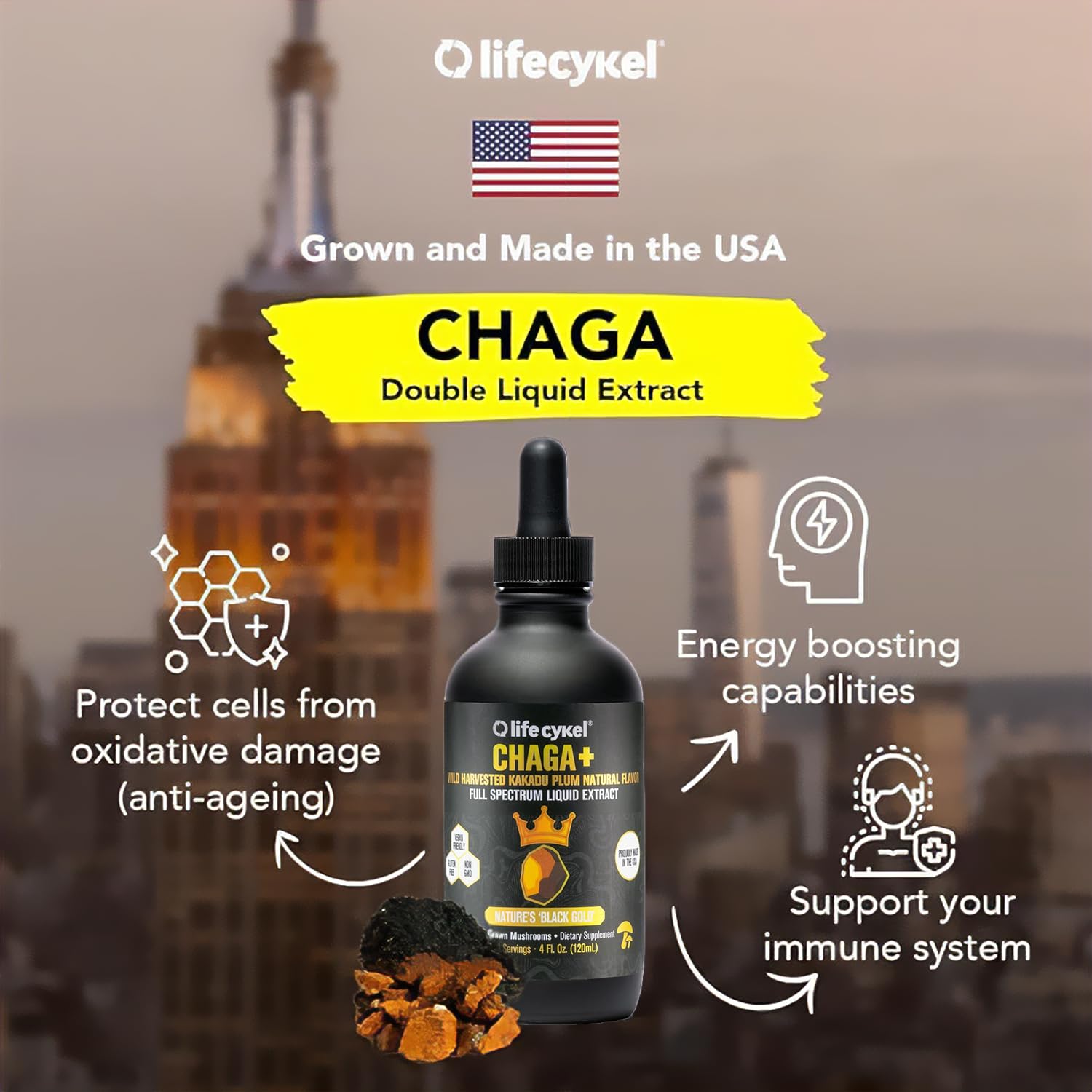Life Cykel chaga tincture drops ready for daily immune-support routine.