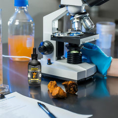 Life Cykel double-extraction process shown enhances potency and absorption.