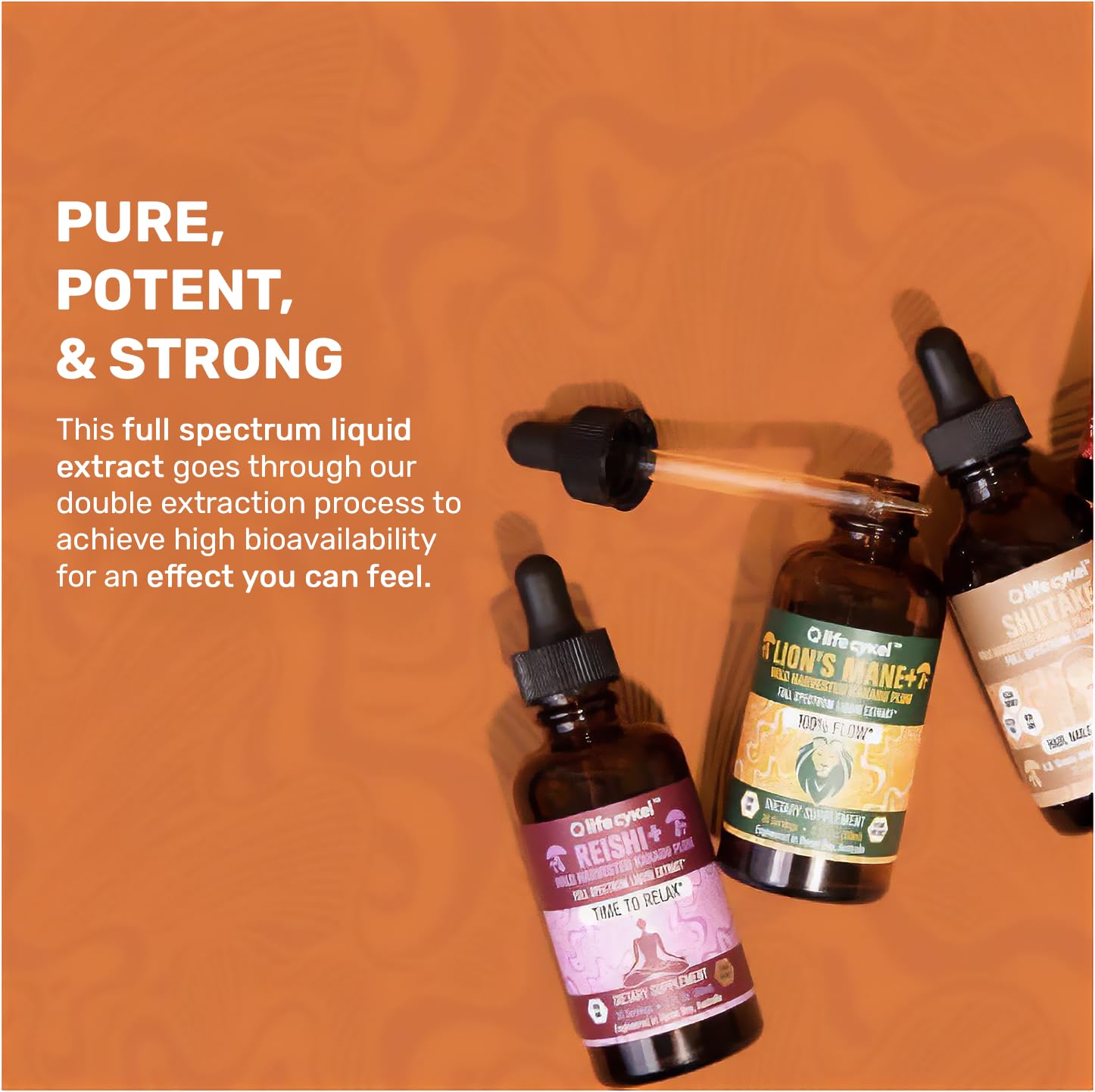 Life Cykel immune-support tincture bottle promotes daily wellness routine.