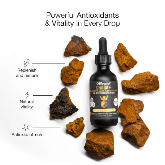 Life Cykel Mongolia Warrior Pack chaga extract closeup highlights antioxidant-rich liquid.