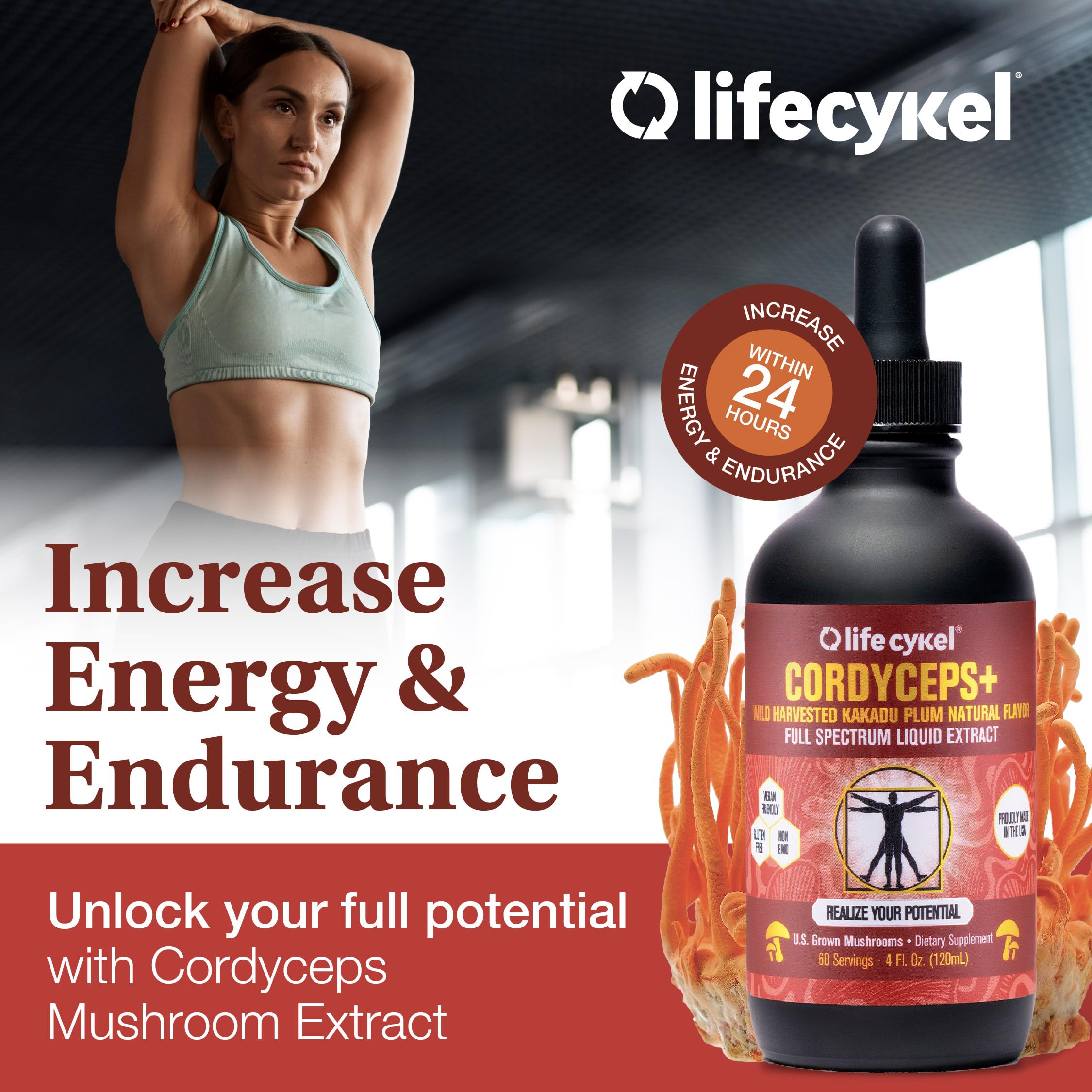 Life Cykel Reishi tincture bottle shot conveys calm endurance