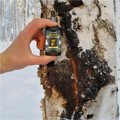 Life Cykel US-grown chaga mushrooms emphasize purity and ethical sourcing.
