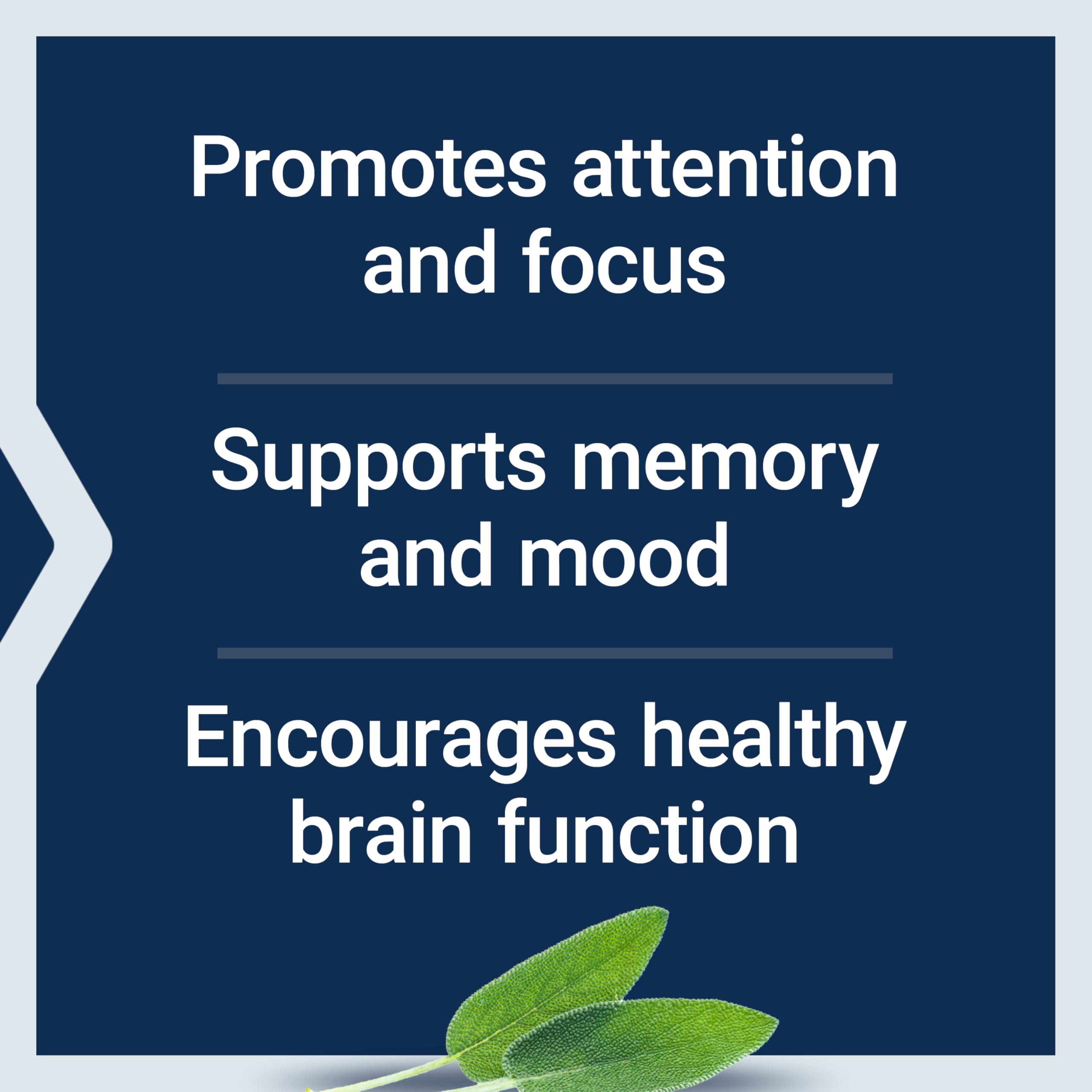 Phosphatidylserine shown in Cognitex Elite for memory support.