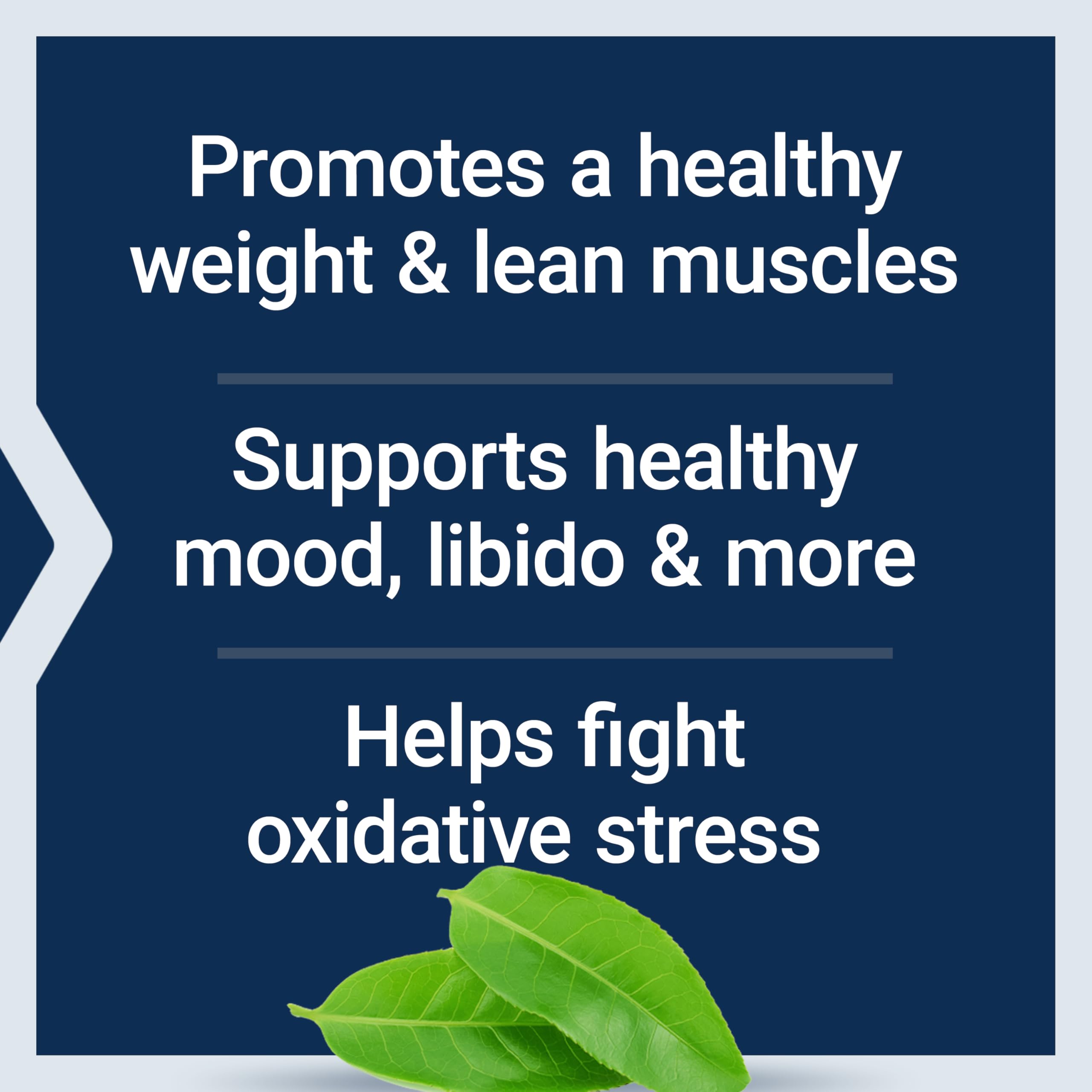 Life Extension DHEA ingredients include green tea, resveratrol, and Curcumin Elite Turmeric.
