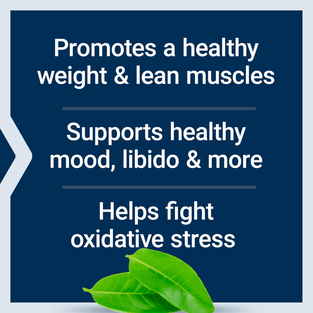 Life Extension DHEA ingredients include green tea, resveratrol, and Curcumin Elite Turmeric.