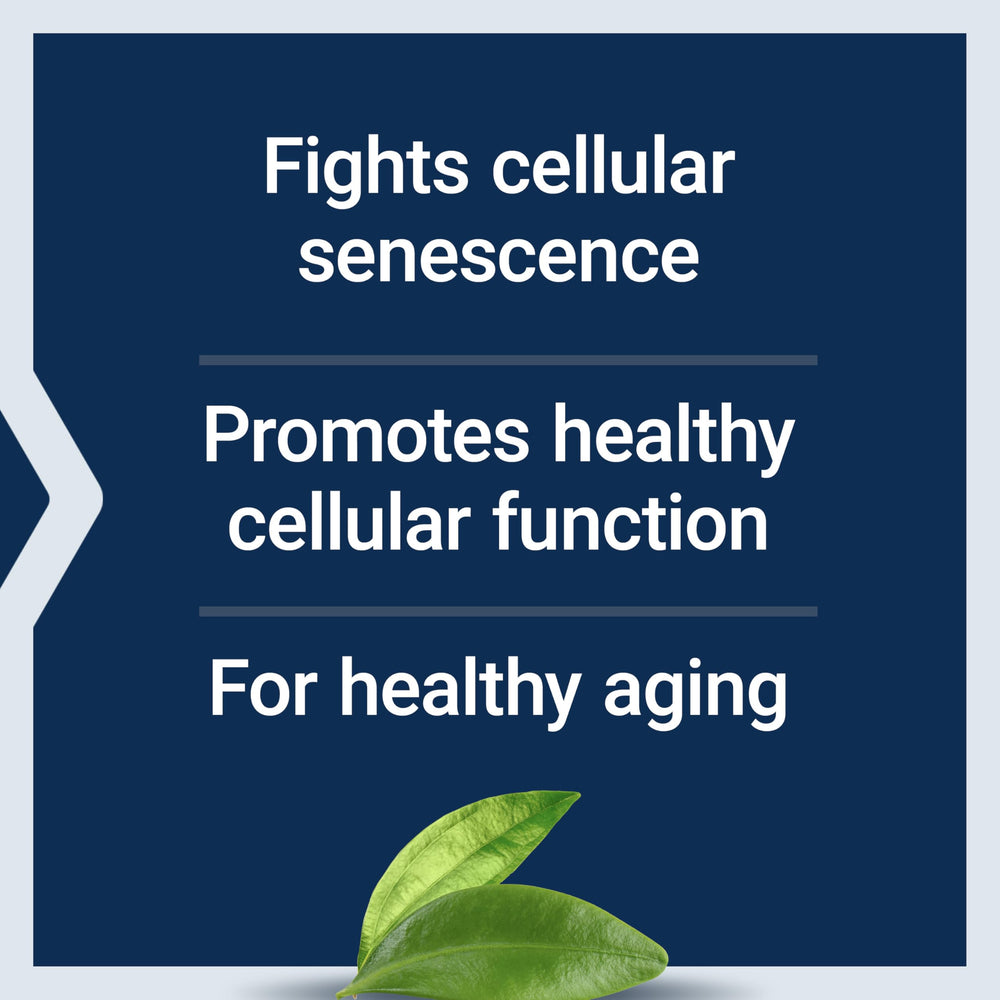 NAC and vitamin E capsules shown together for cellular health support.