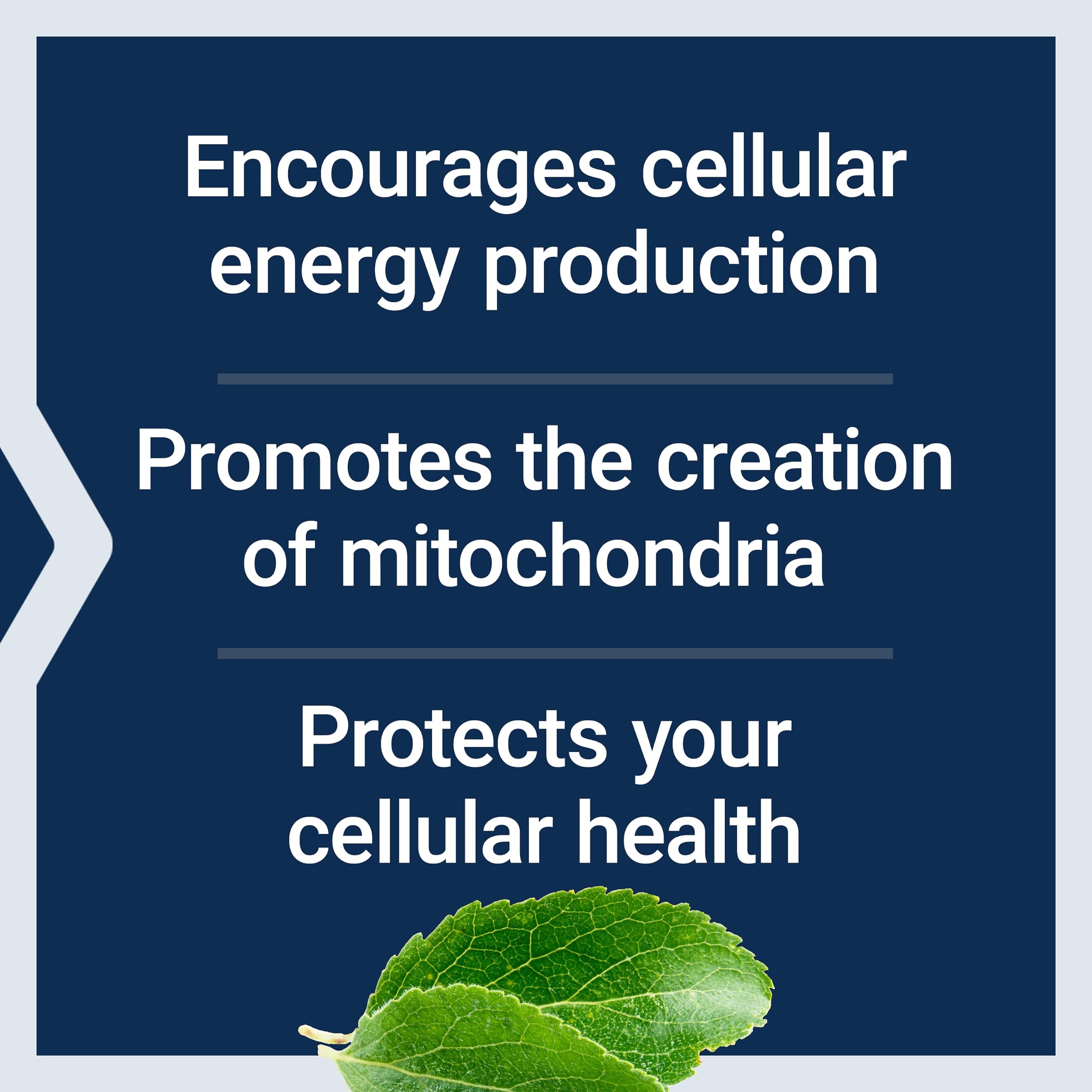 Mitochondrial Energy Optimizer label emphasizing PQQ and non-GMO badge