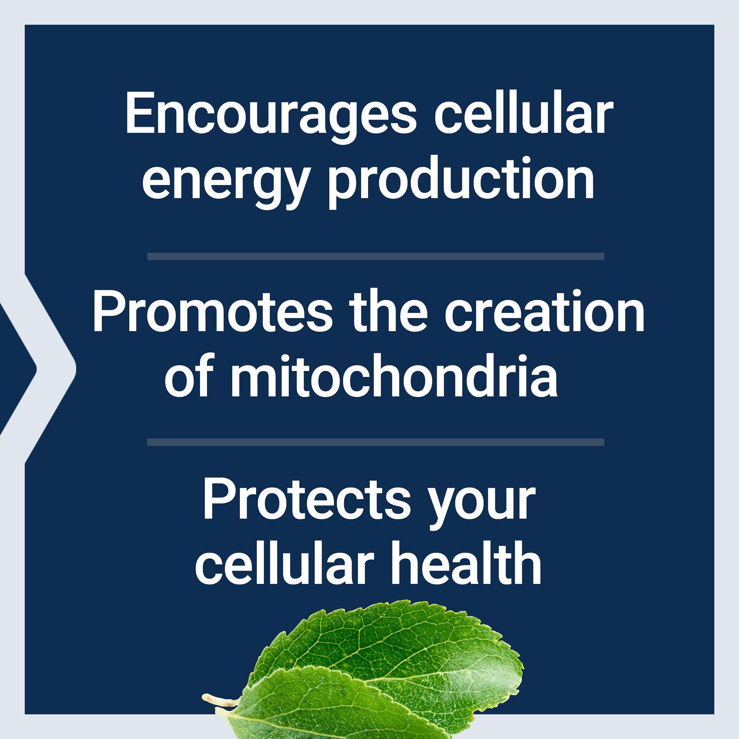 Life Extension Ro-Lipoic Acid capsule closeup highlighting antioxidant support