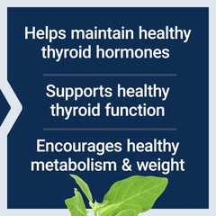 Life Extension Thyroid Support Complex ashwagandha arrangement highlights adaptogenic herb.