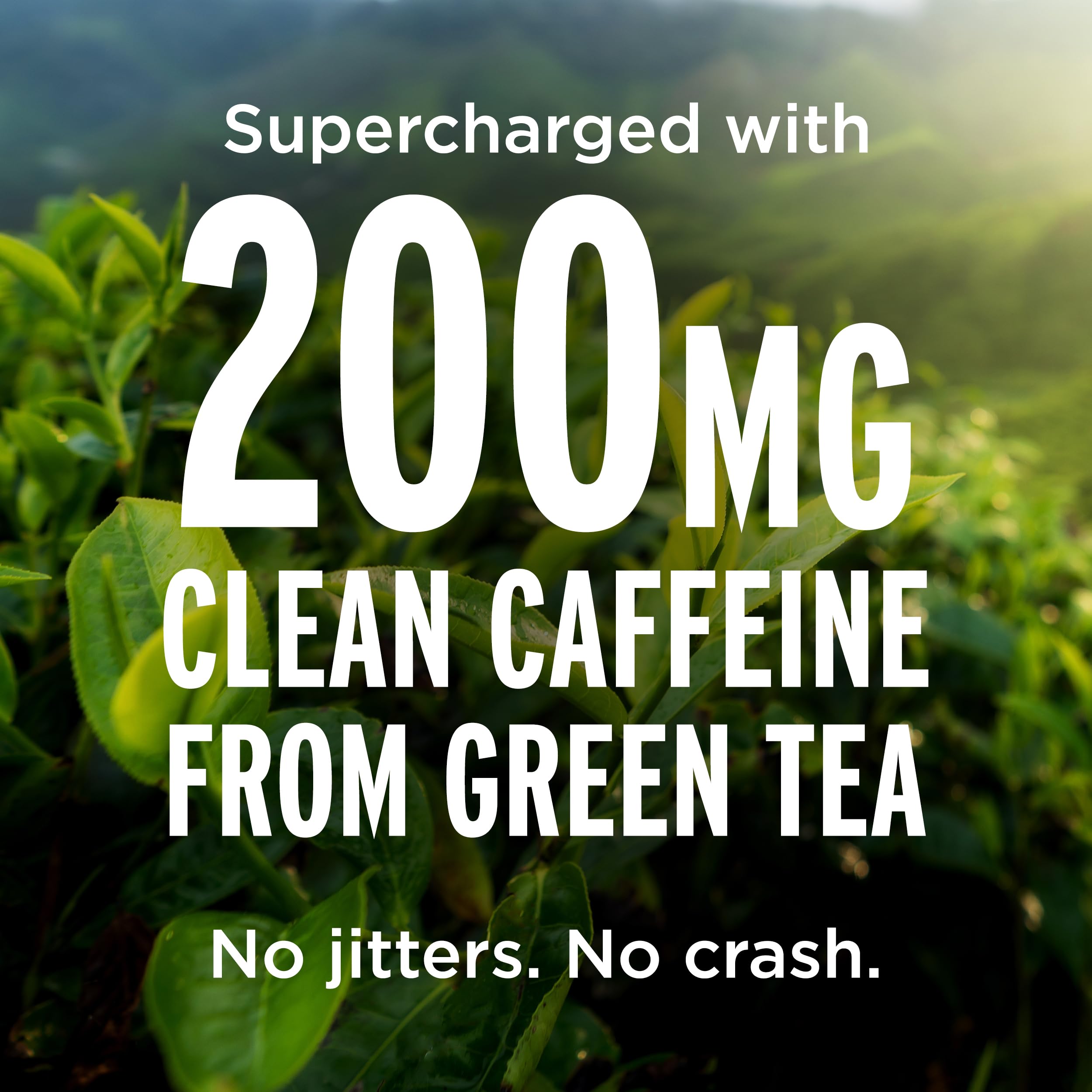 LIFEAID FITAID Energy GO caffeine from green tea for a clean energy boost