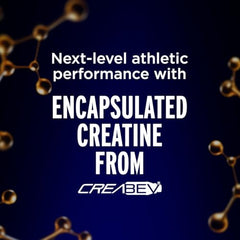 Front view of Lifeaid Fitaid RX + Creatine 12-bottle pack