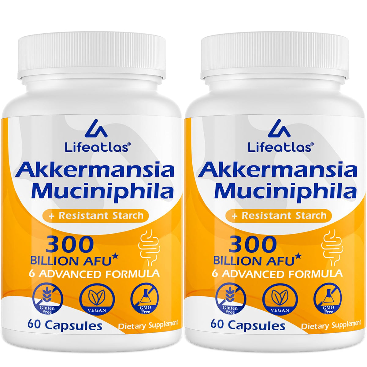 Lifeatlas Akkermansia probiotic bottle showcasing high-potency gut health benefits