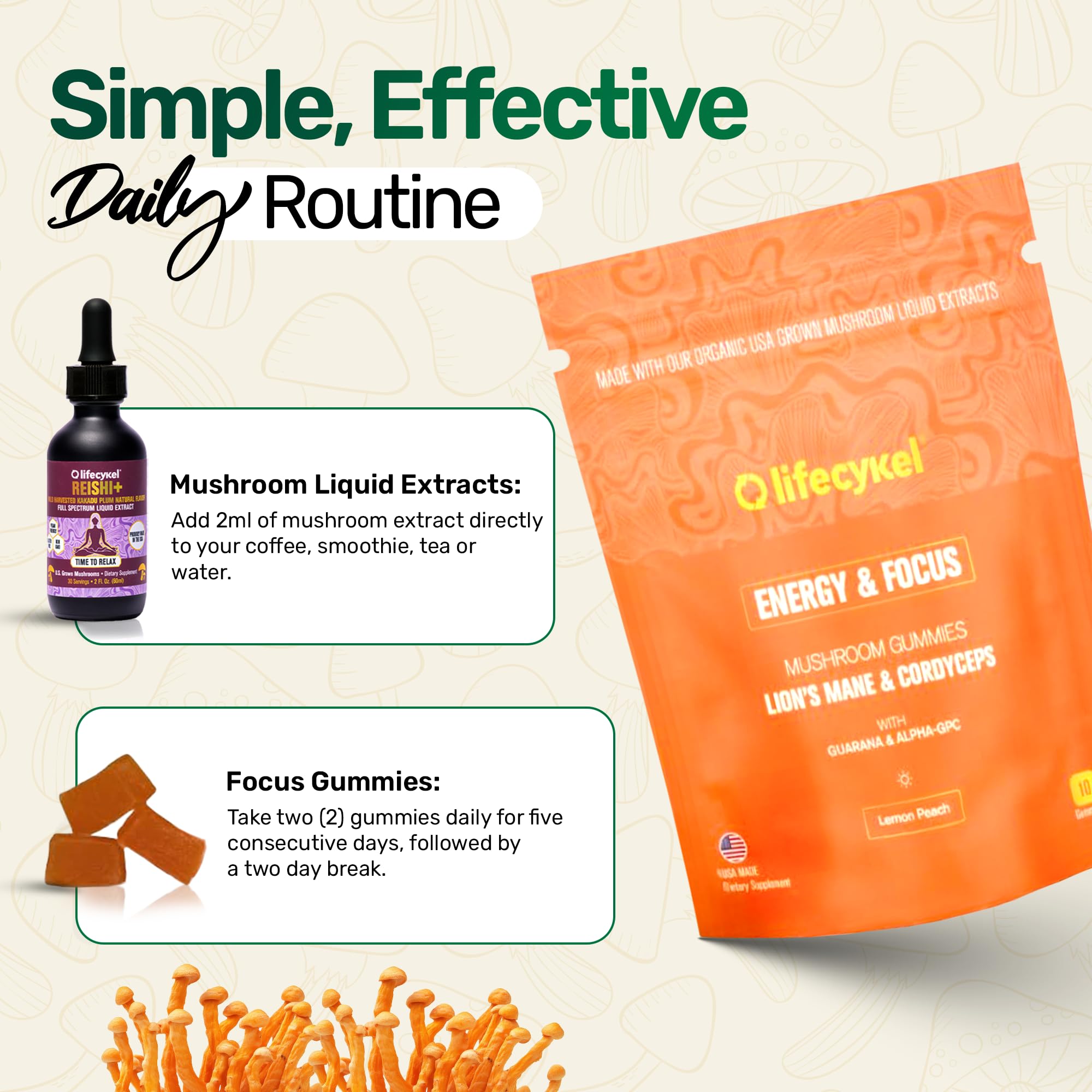 Life Cykel daily wellness routine with bottle and gummies for vitality