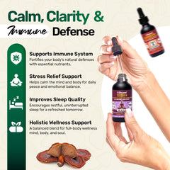 Life Cykel focus gummies arranged for quick mental clarity
