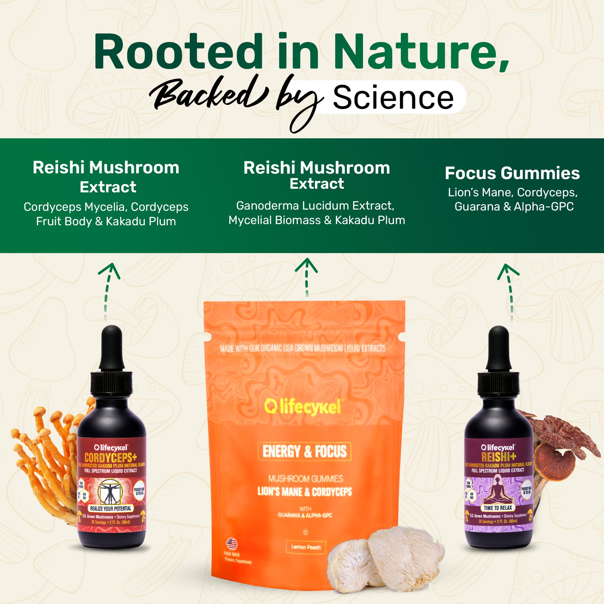 Life Cykel reishi tincture bottle promoting immune balance and calm focus