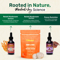 Life Cykel reishi tincture bottle promoting immune balance and calm focus