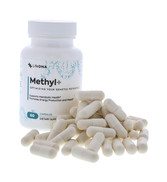 LIFEDNA Methyl + Methylfolate bottle back highlights comprehensive methylation support