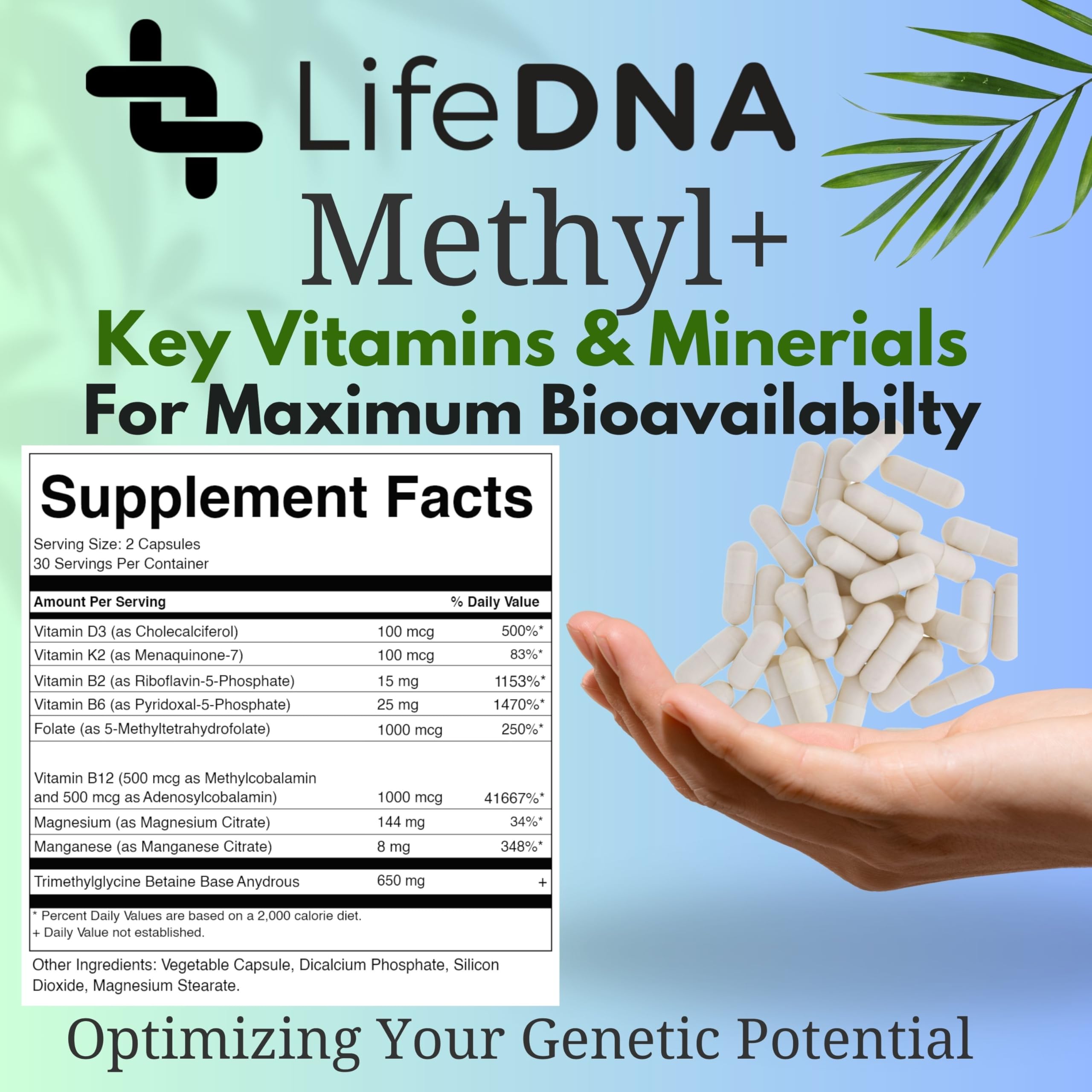 LIFEDNA Methyl + Methylfolate dosed supplement shows convenient two-capsule daily regimen