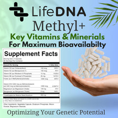 LIFEDNA Methyl + Methylfolate dosed supplement shows convenient two-capsule daily regimen