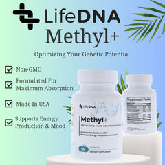LIFEDNA Methyl + Methylfolate tablet pour demonstrates easy daily dosing