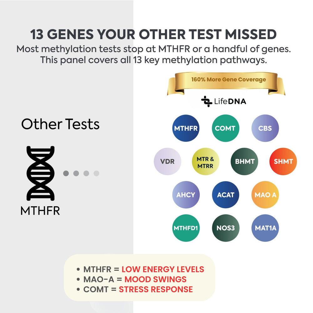 LifeDNA step-by-step at-home DNA collection guide.