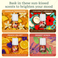 Lifelines ClickWick Sun-Kissed Escape vanilla tangerine bottle offers comforting citrus aroma