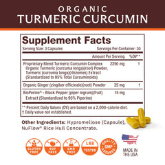 Life's Fortune turmeric-ginger blend bottle demonstrates premium wellness formula.