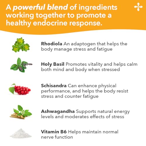Adrenal-T bottle label back with dosage guidance for consistency.