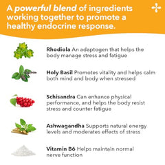 Adrenal-T bottle label back with dosage guidance for consistency.