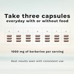 LifeSeasons Berberine label closeup showing dosage details.