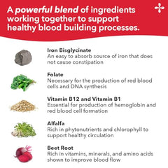 LifeSeasons Blood Nourish-R bottle with label showing vitamin B12
