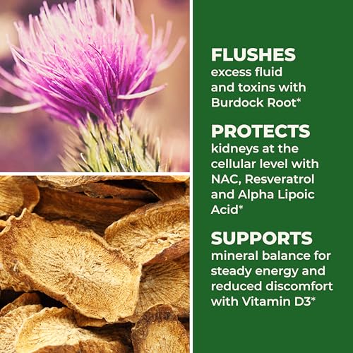 LifeSeasons Kidney Support capsules close-up indicates easy daily intake.